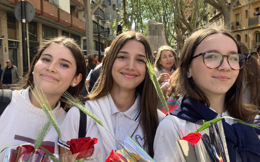 Sant Jordi 24-25