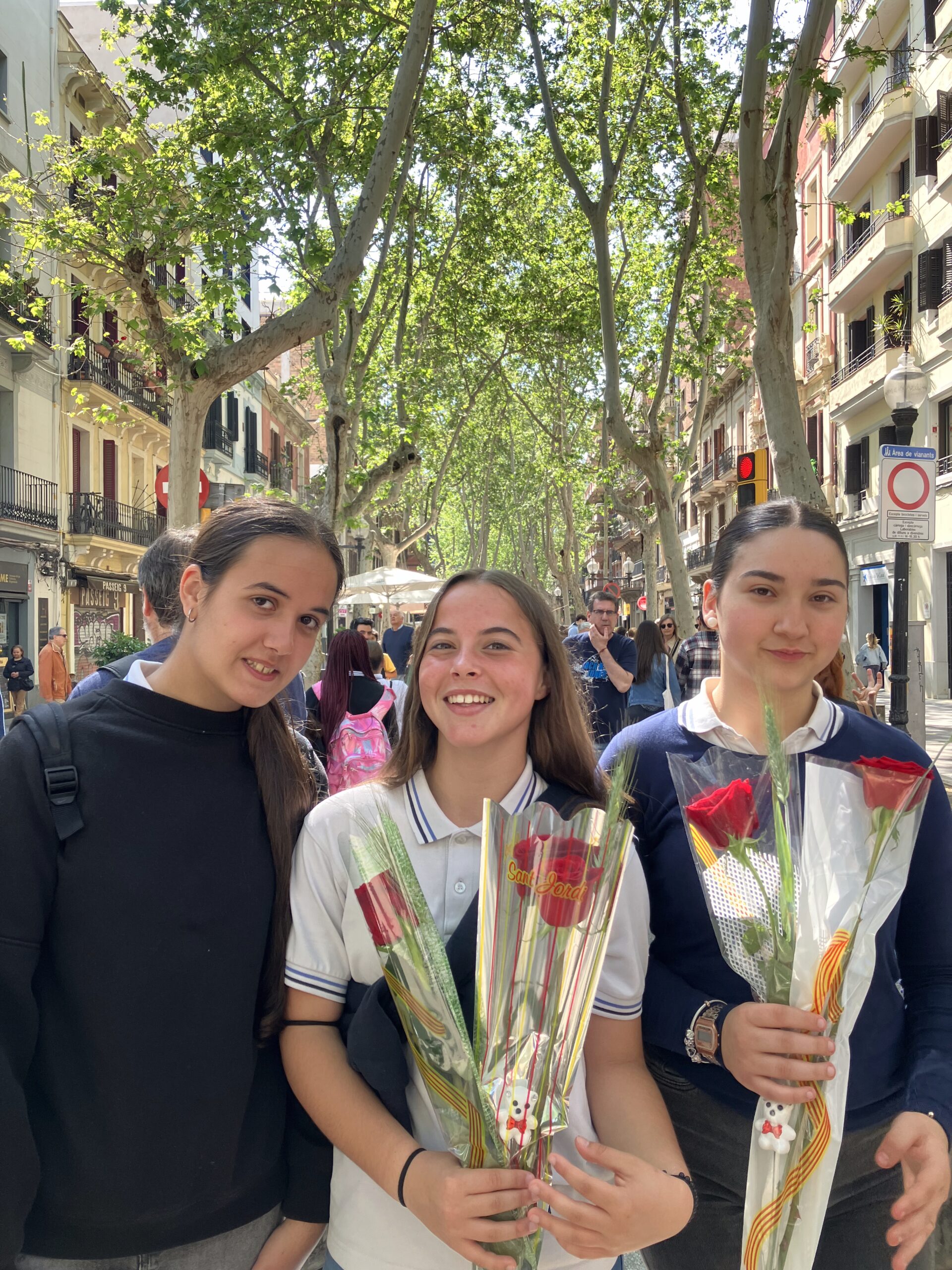 Sant Jordi 24-25